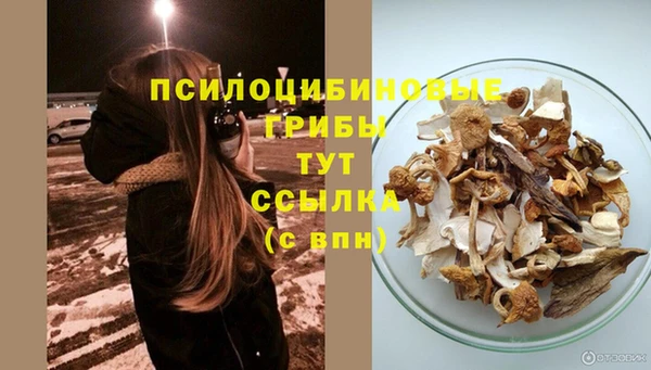 амфетамин Алексеевка