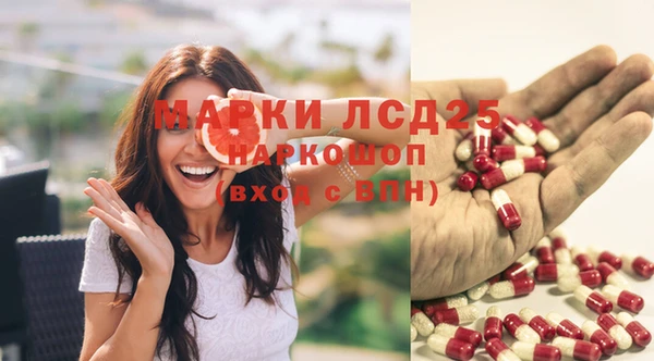 герыч Алексин