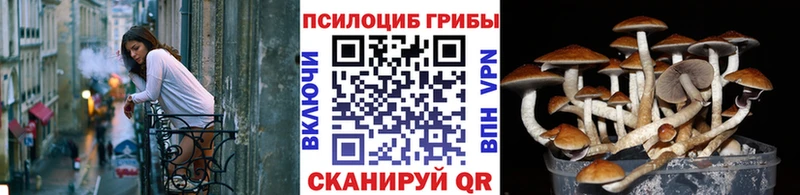 Галлюциногенные грибы Magic Shrooms  ссылка на мегу ТОР  Елабуга 